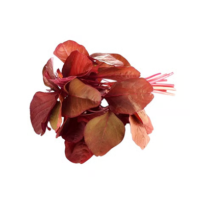 Red Amaranthus Leaves (Lal Chaulai)
