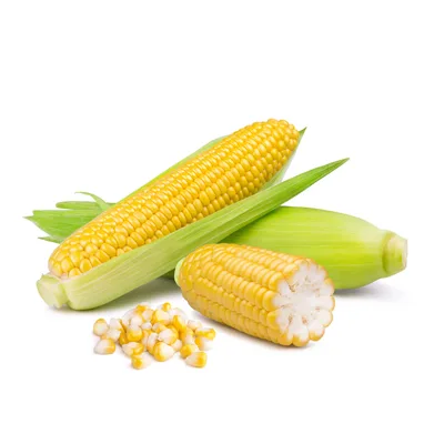 Corn Cob (Bhutta)
