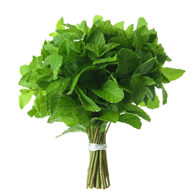 Mint Leaves (Pudina)