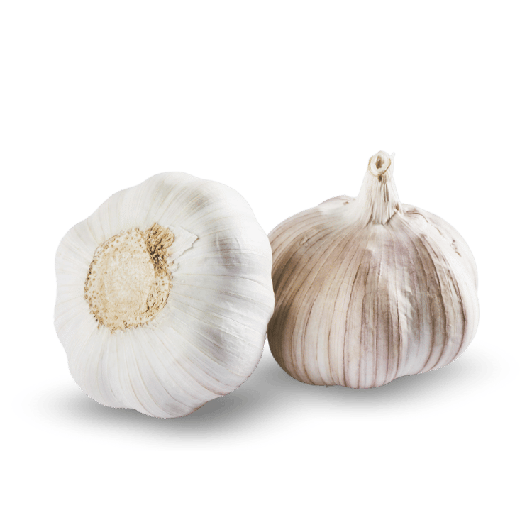 Garlic(Lasun)