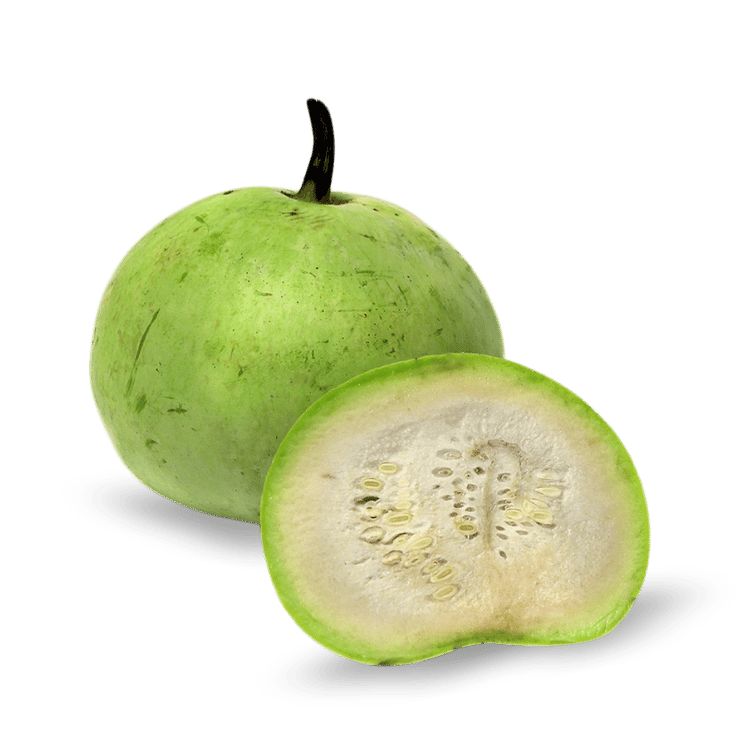 Tinda (Indian Round Gourd)