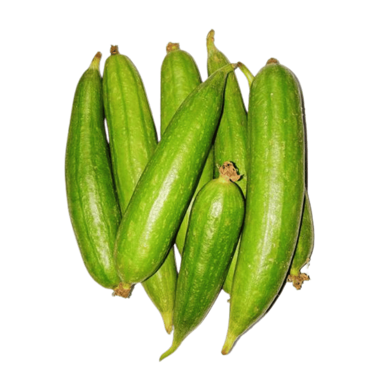 Ridge Gourd (Tori)