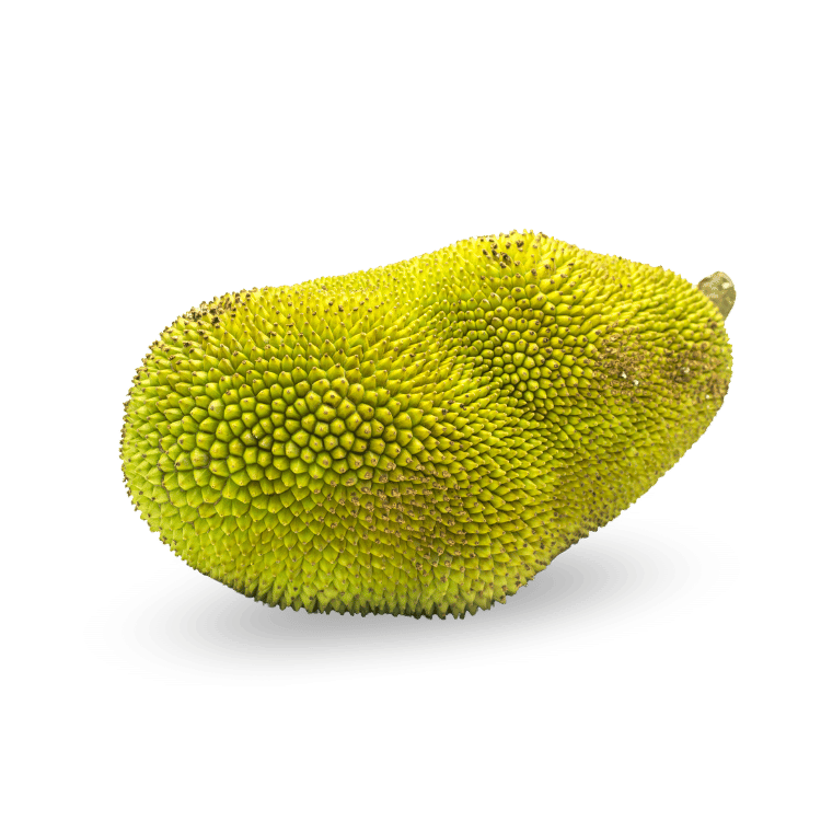 Jackfruit (Kathal)