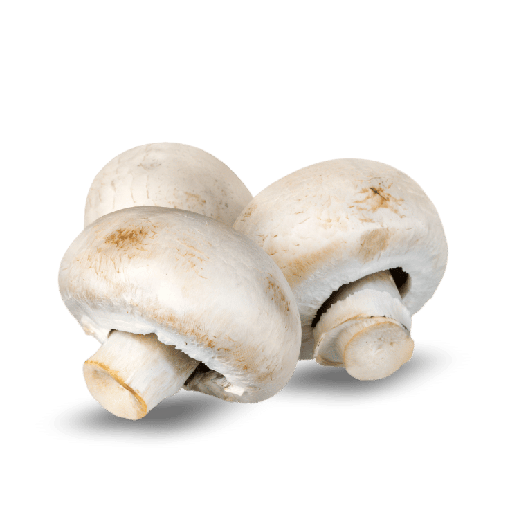 Mushroom (Fresh Button)