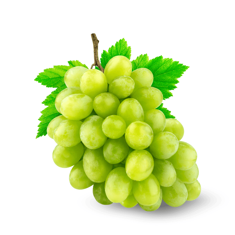 Grapes (Angoor)