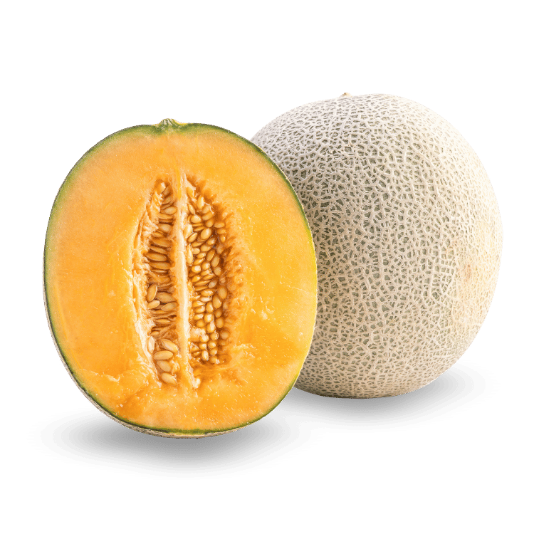  Muskmelon (Kharbooja)