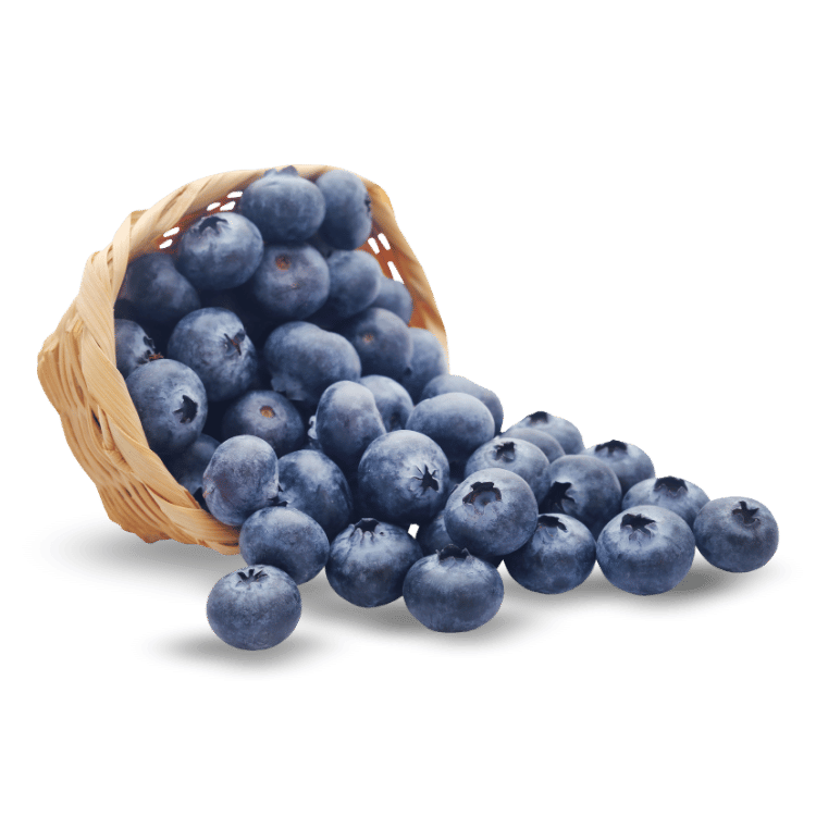 Blueberry