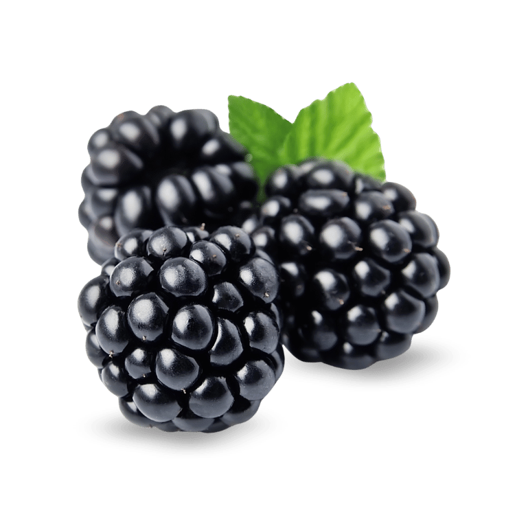 Blackberry