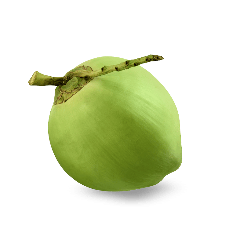 Tender Coconut (Nariyal)
