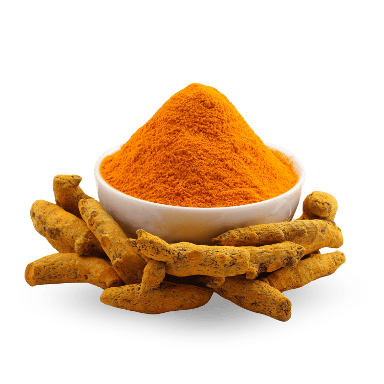 Turmeric powder