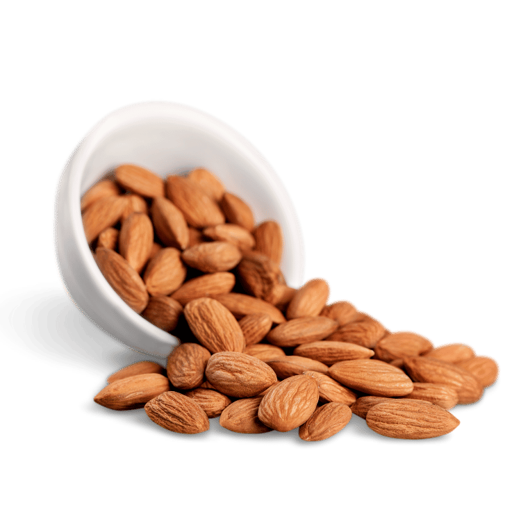 Almond(Badam)